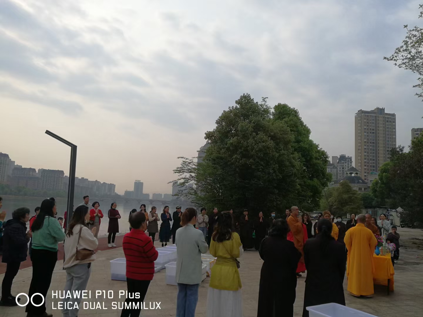 大象彩网准提菩萨圣诞日法会通启